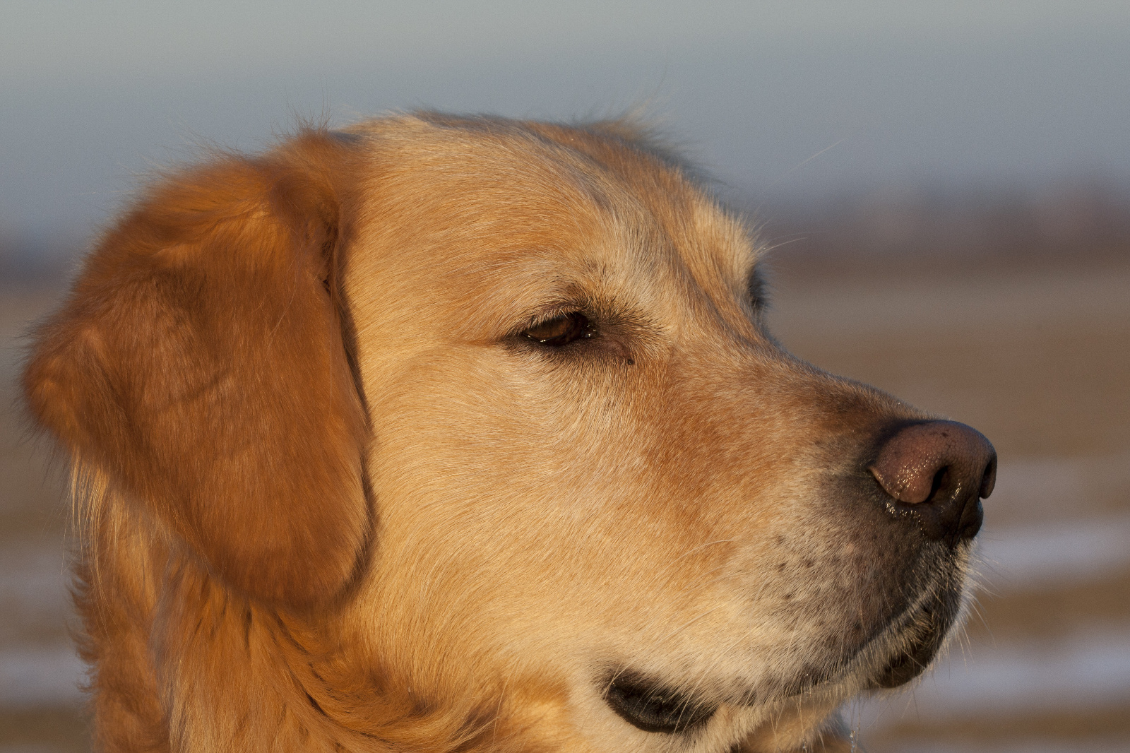 463C4982 (32 von 64)